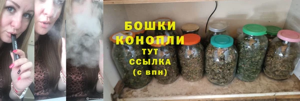 apvp Белокуриха