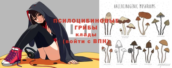 apvp Белокуриха