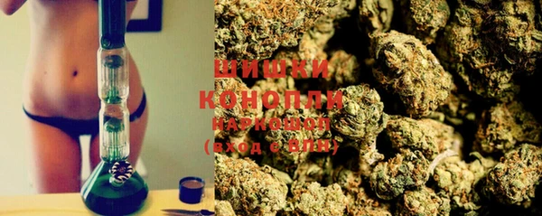 apvp Белокуриха