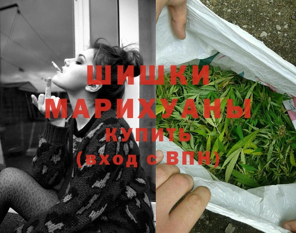 apvp Белокуриха