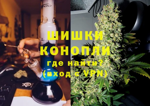 apvp Белокуриха