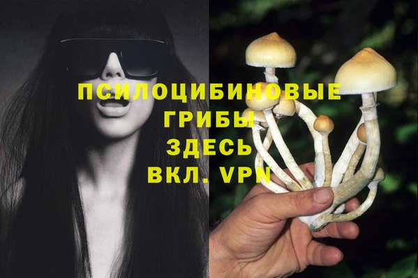 apvp Белокуриха